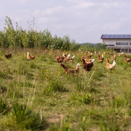 Balkon Appartement *